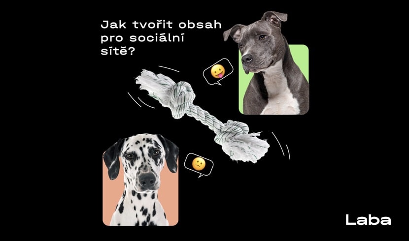 a251-632c538243edd500500178-min-649233916522b677624625.jpg