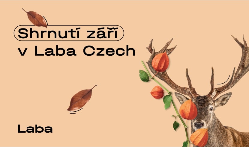 articlevisual-1-633d3b1a76027369799195-min-64923406c37a4925371242.jpg