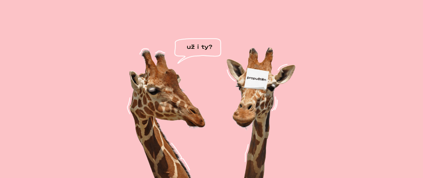 cover-6512867aa86e6106849147.png