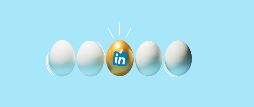 cover-6554a5fc913c6922005150.png