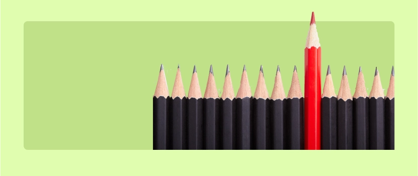 cover-6662d510a8147741374132.webp