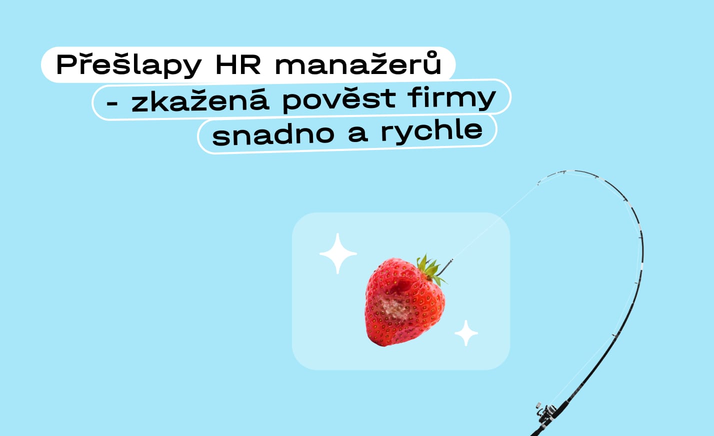 1116-image-min-66336bb2acedf726955440.jpg