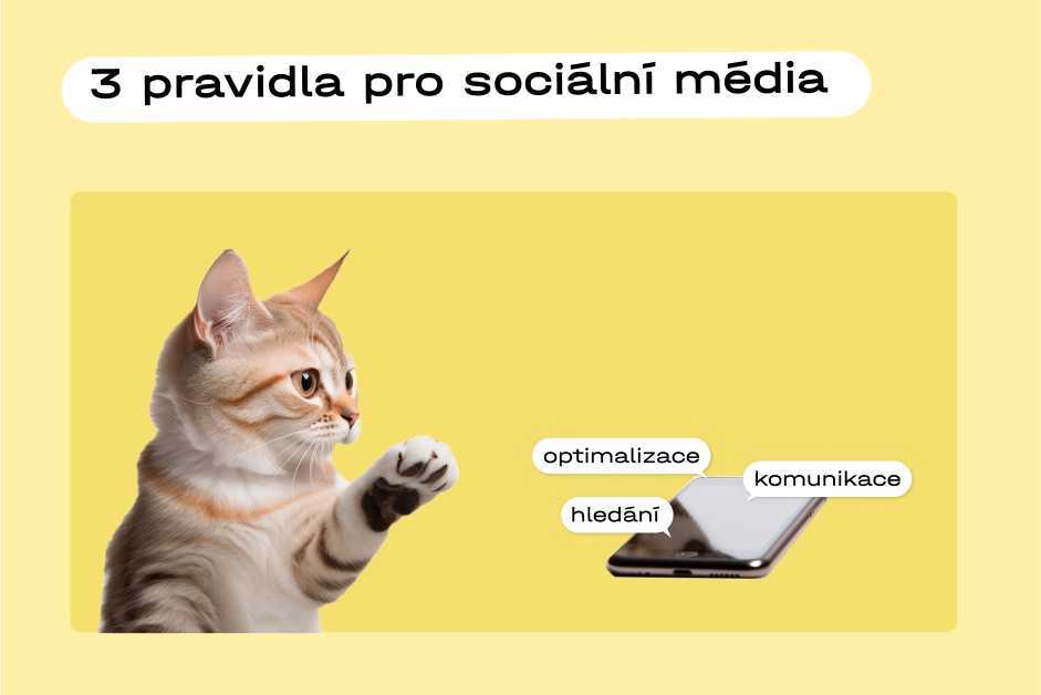 1156-preview-6661768ba0f17314089202.webp