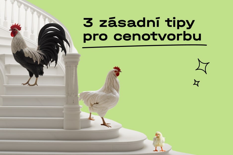 925-na-co-nezapomenout-pri-cenotvorbe-3-zasadni-kroky-social-24-6552252bcaa3a550989831.jpg