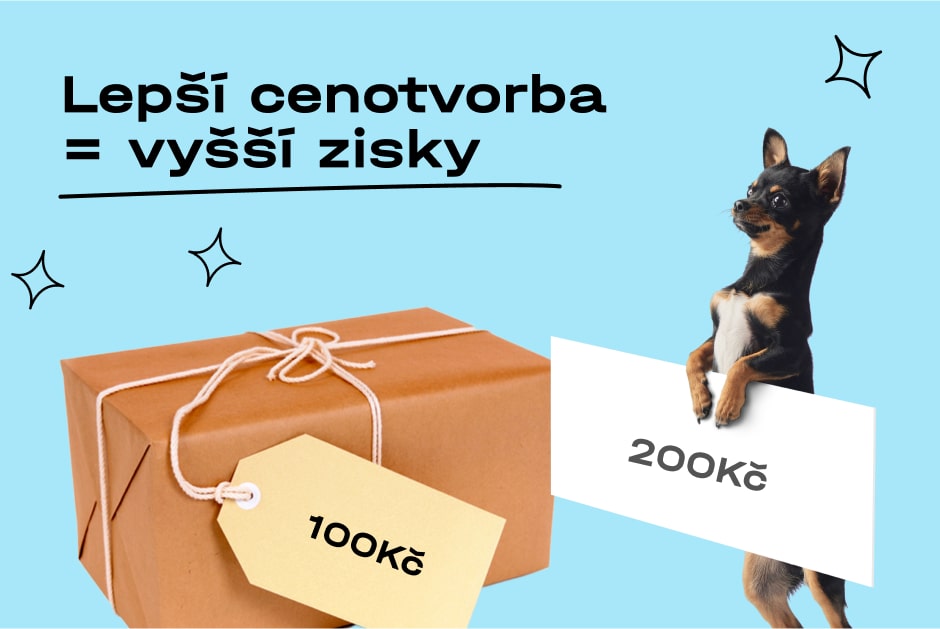 951-prakticke-tipy-jak-vam-cenotvorba-pomuze-dosahnout-na-vetsi-zisky-preview-6576ee1c36a7c399215325.jpg
