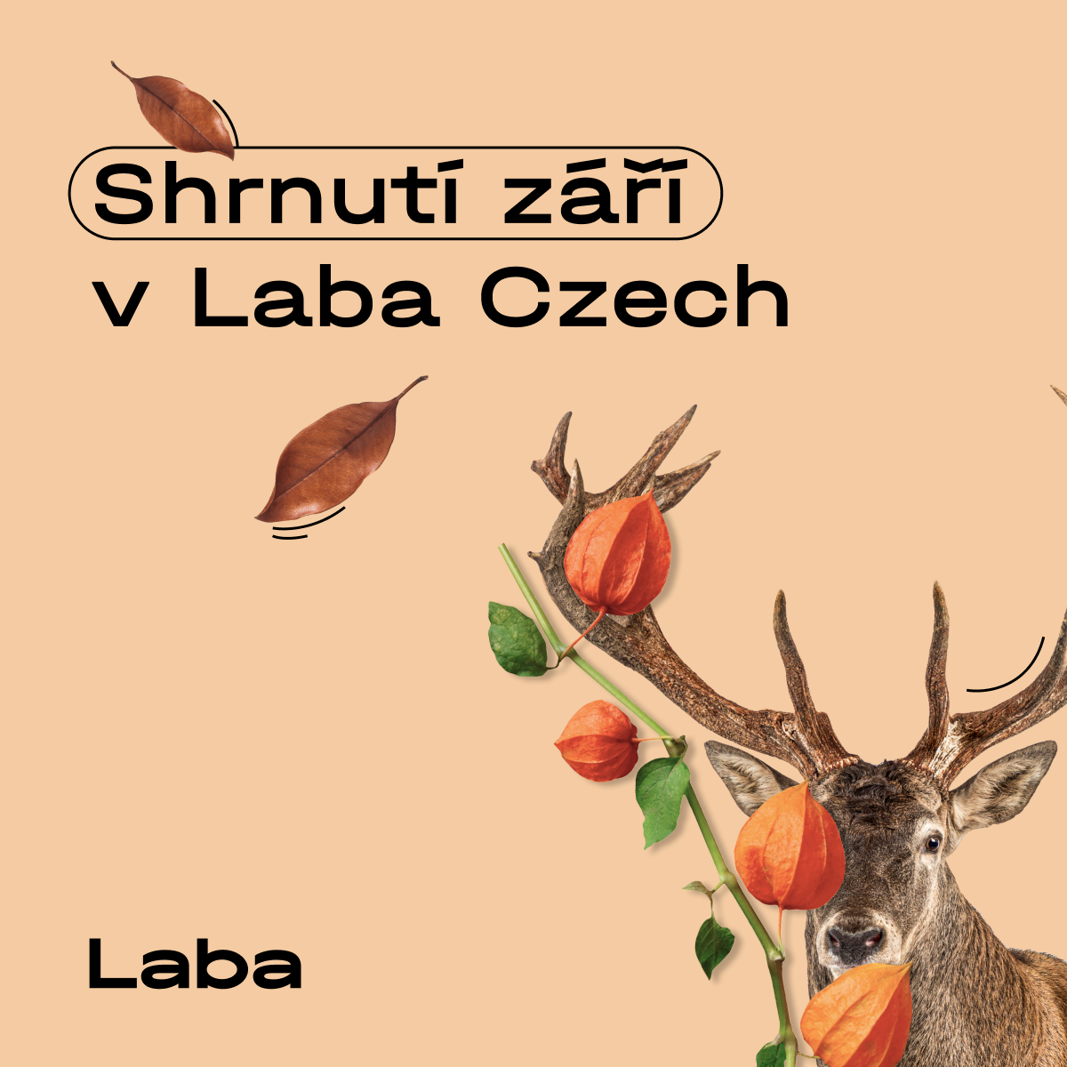 articlevisual-633d3b1a83d33920149438.png