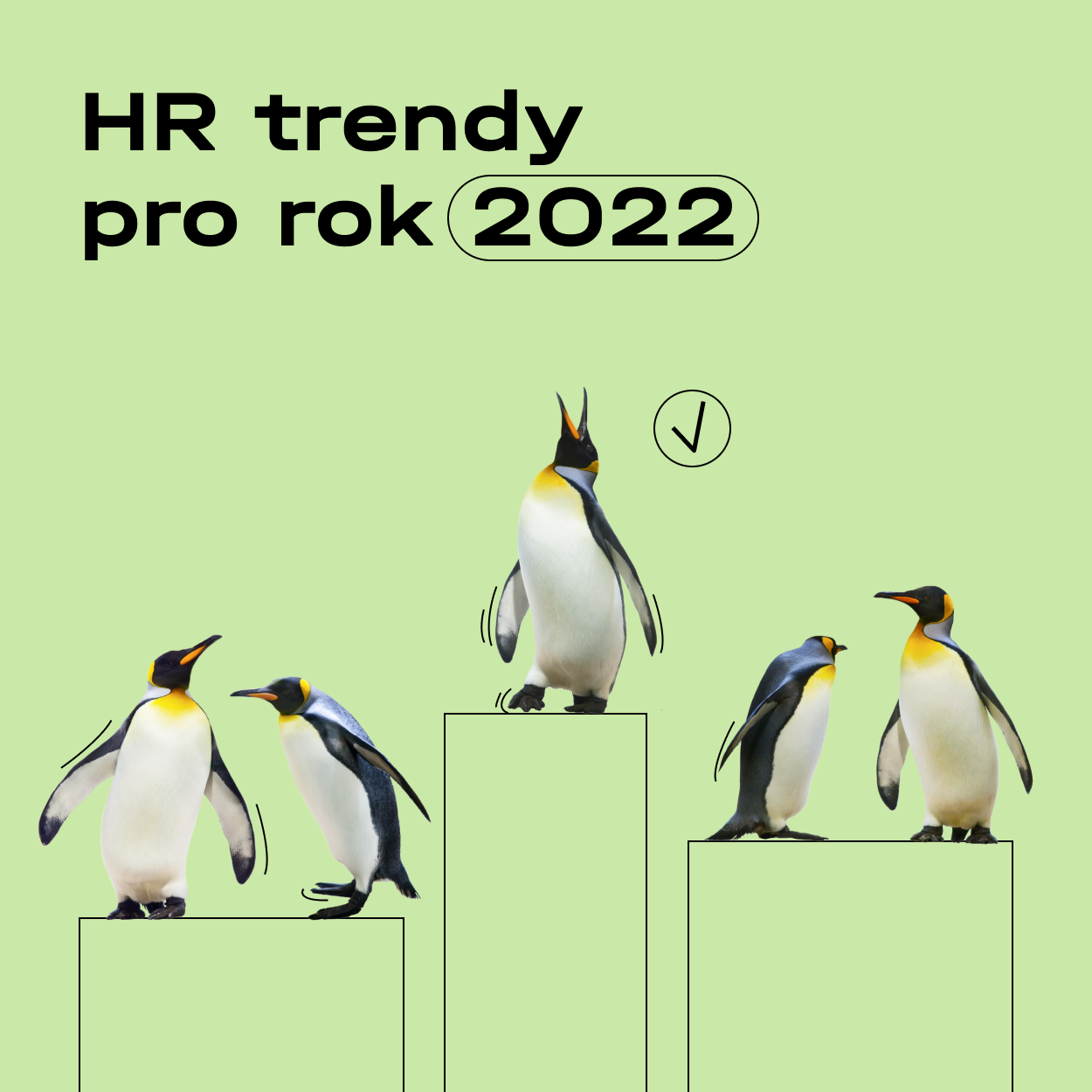 hrtrendy-1250-1250-1-632d9610b19ab290773477.png