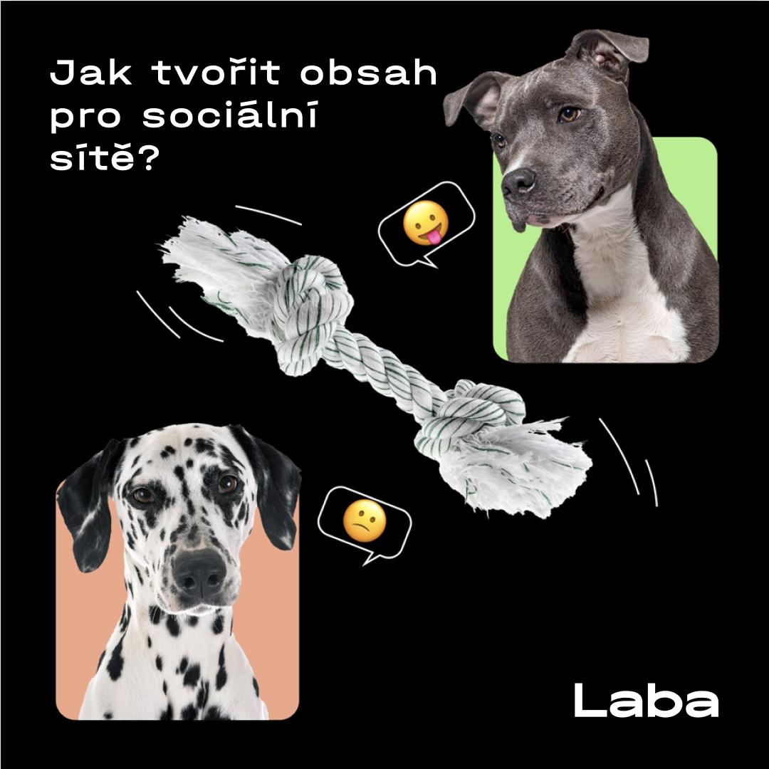img-0235-632c53824b7d6299094272.png