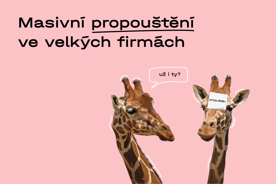 preview-6512867aa8b8a333119264.png