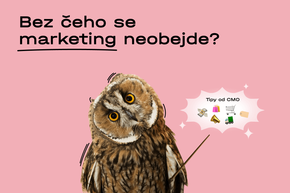 preview-65328bb4590c0552682676.png