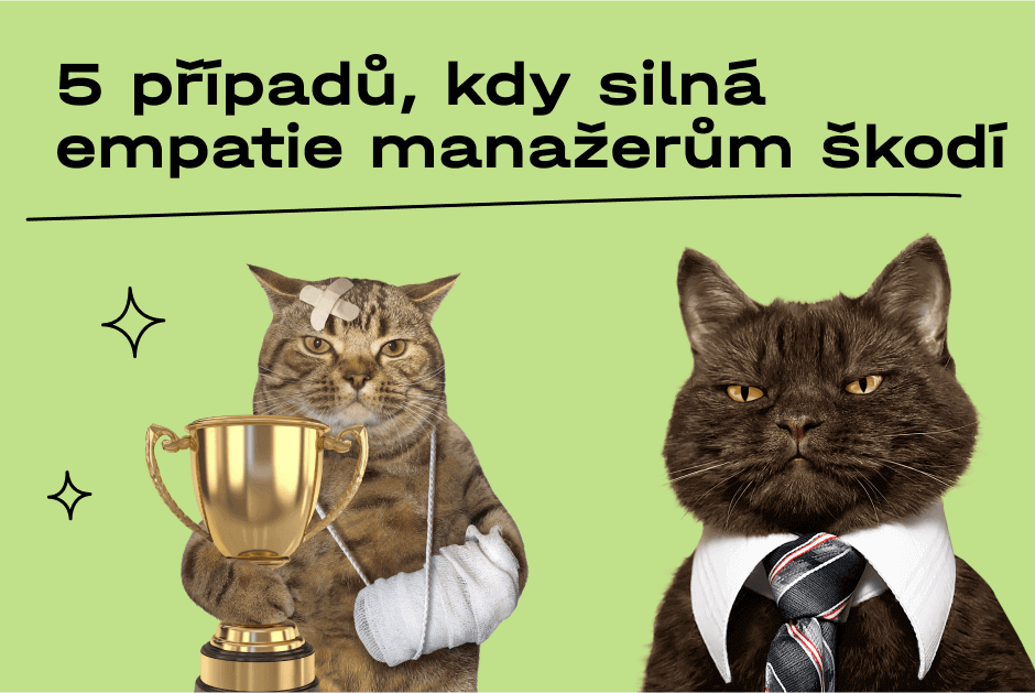 preview-65b22d9ed9b67131244256.png
