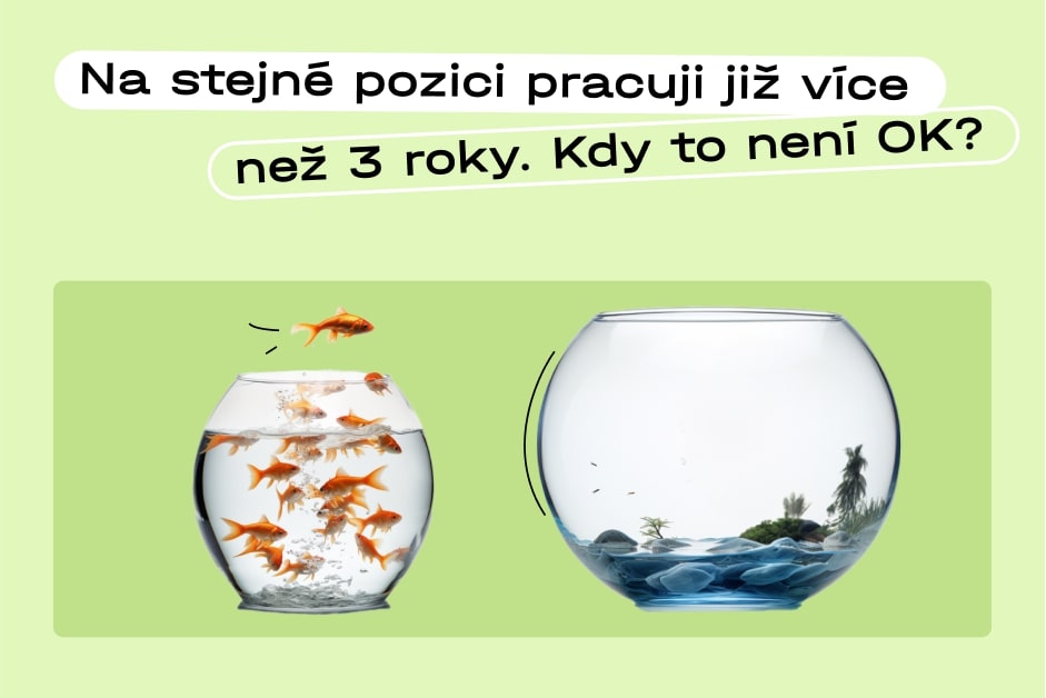 preview-6630beed1c854257660515.jpg