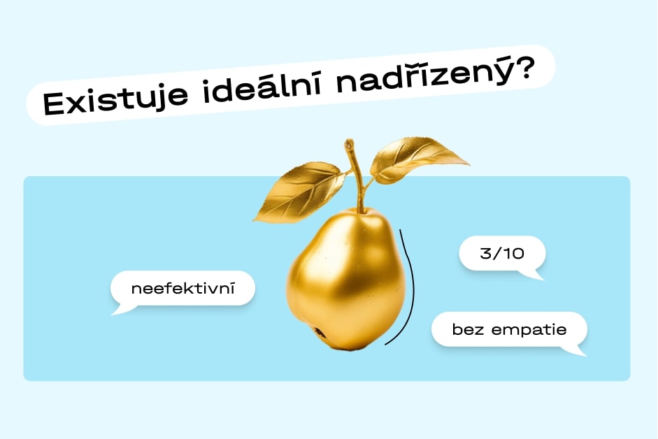 preview-663c9dabc8962411308969.jpg