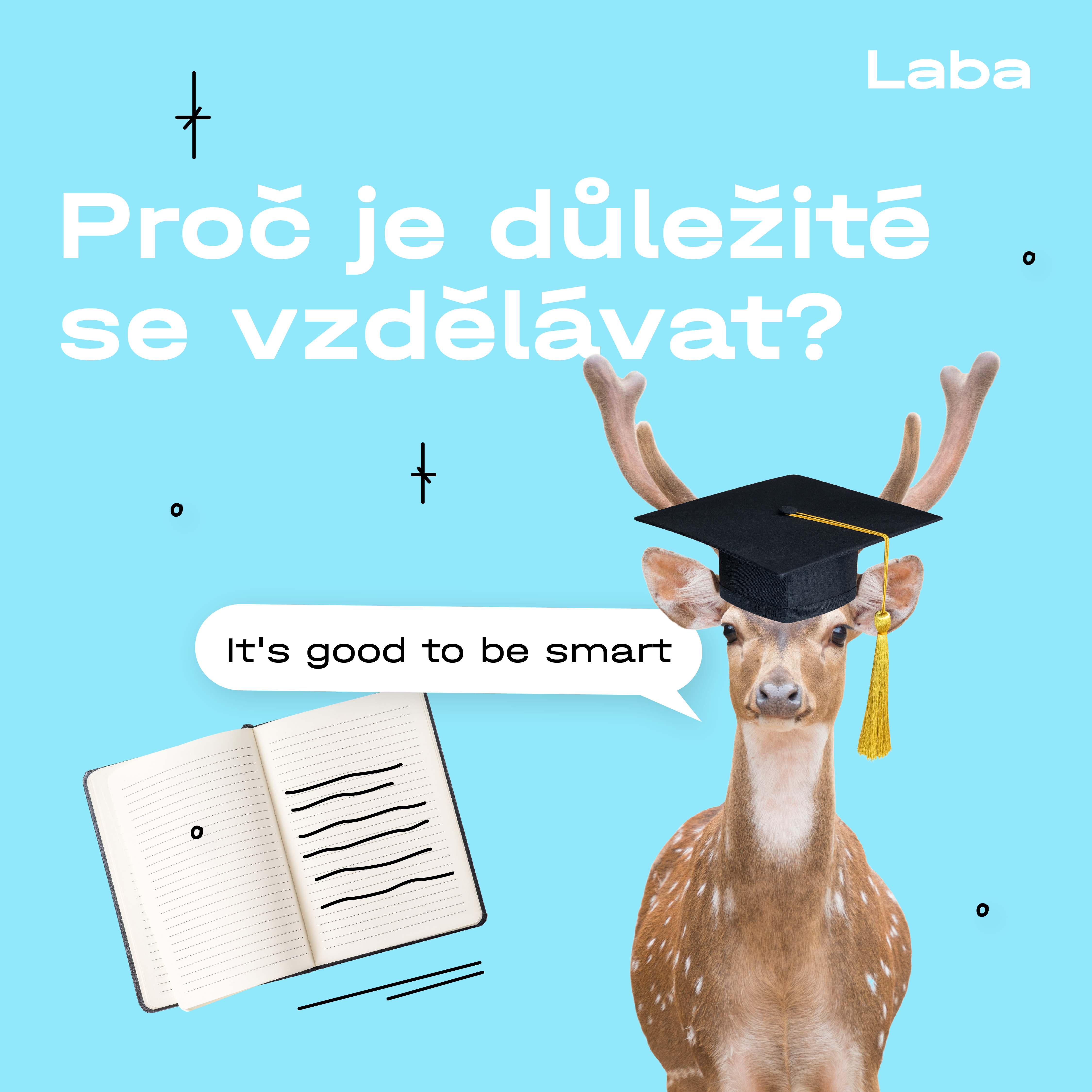 proc-je-dulezite-se-vzdelavat-6298d3004a024644814547.png