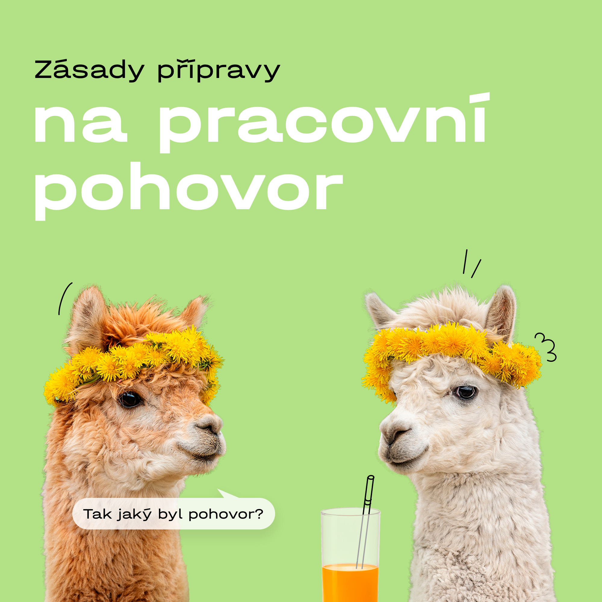 zasady-pripravy-na-pracovni-pohovor-62a079b289f34659788123.png