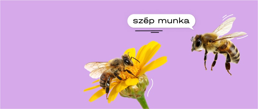 cover-1-655e1c26e0dbb258236033-min-6565ce8f26300627206649.jpg