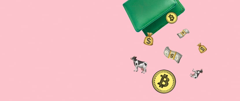 cover-bitcoin-6089593bb53e0562009189-62432bc5558e4264138110-min-646237d41933a926901504.jpg