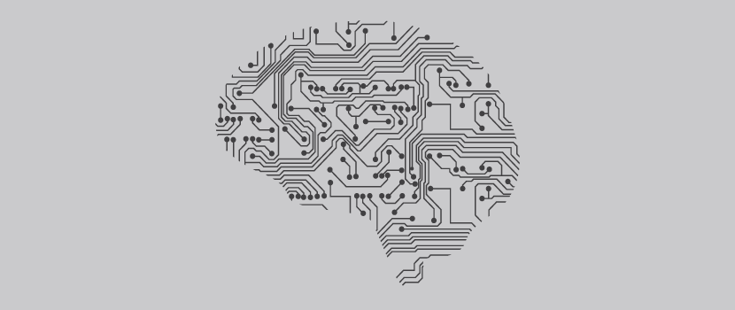 laba-blog-brain-05-cover-60f000bb1d557845465491.png