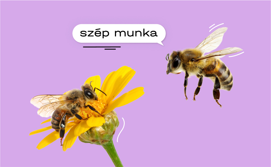 preview-655e1c26e3779073114941.jpg