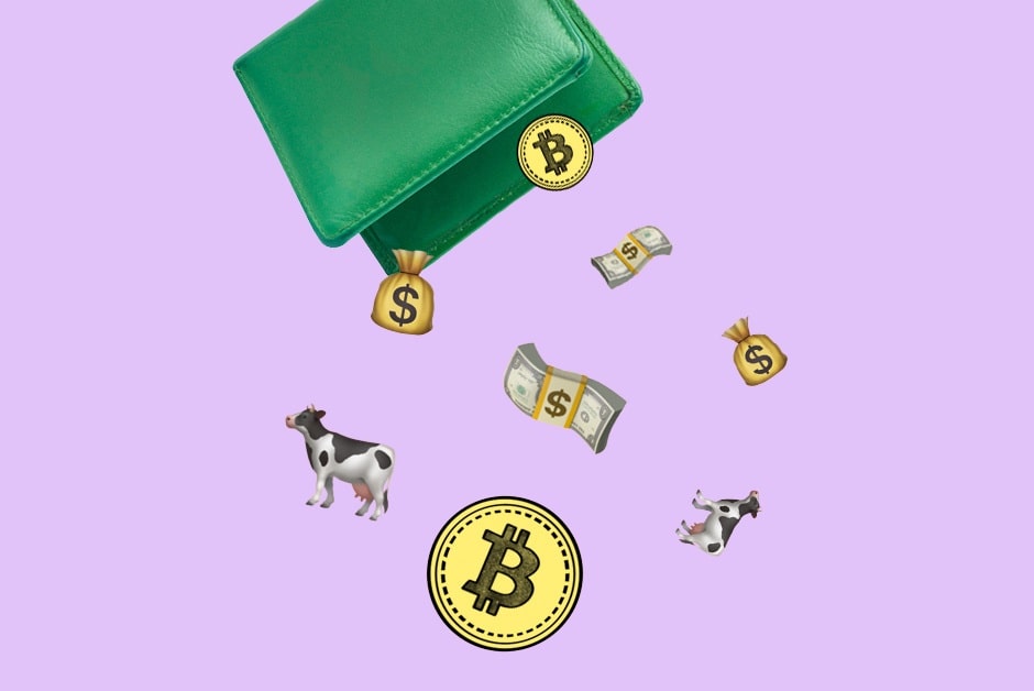 blog-small-preview-money-history-62f198d567987616404654-min-645e247acb963685628180.jpg