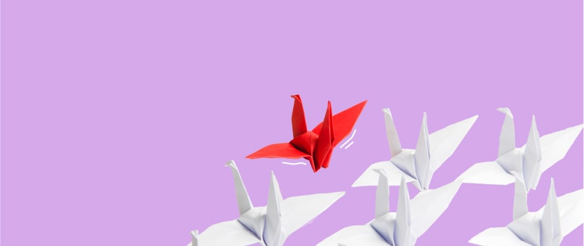 cover-38-6569cc8931b76080578366-min-657714a723135025185491.jpg