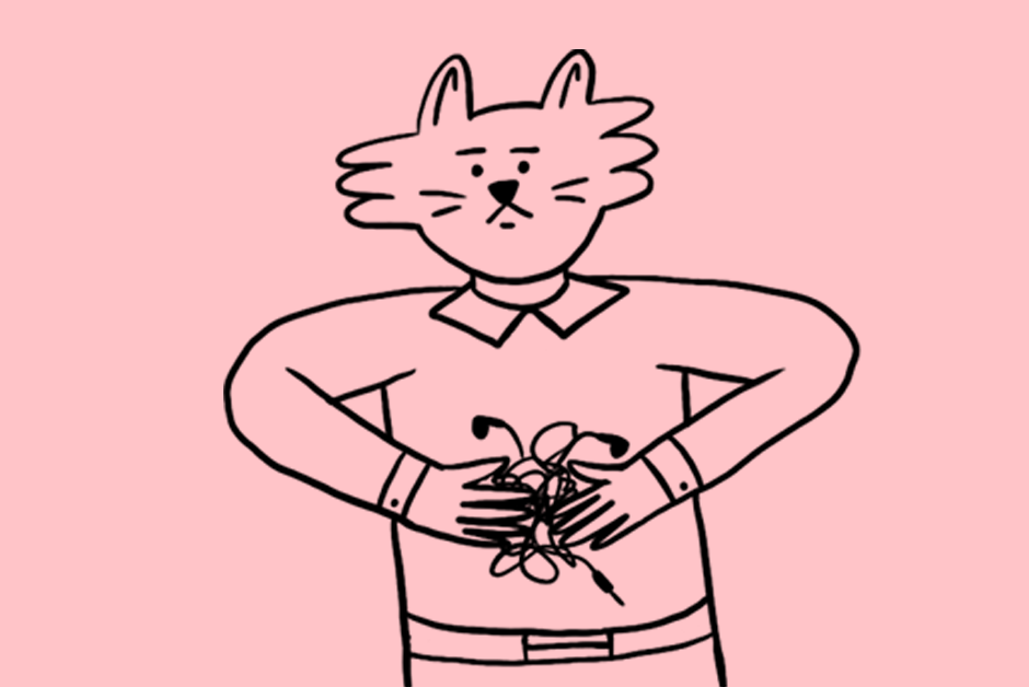 3-6453c45b55e92279426973.png