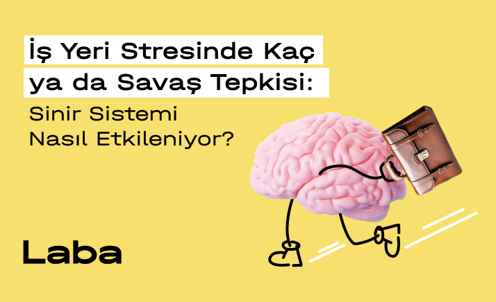 cover-1-66bc63d03a001728955764.webp