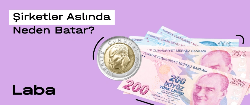 cover-1-6821d17c0fd8a381444172.webp