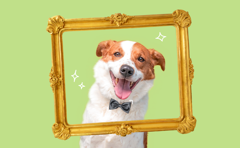 preview-40-65955c04beb30894318711.png