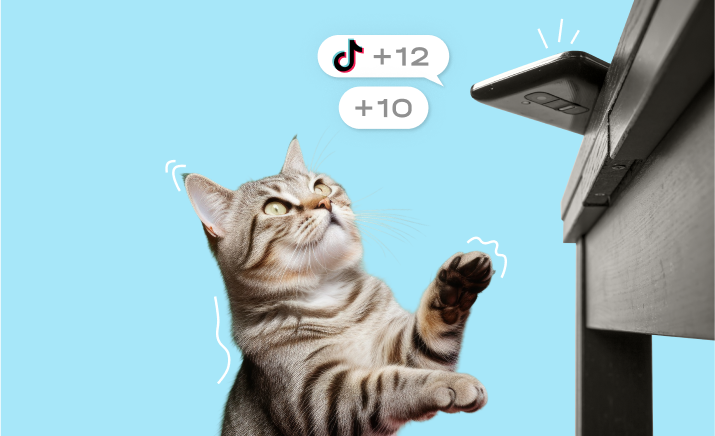 preview-60-65f9a18127752449555127.png