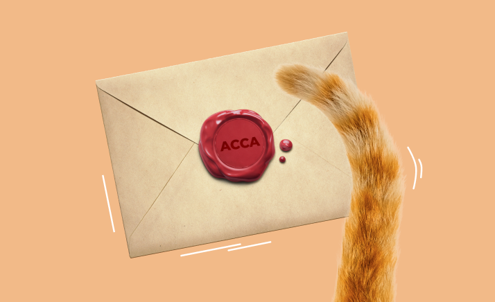 preview-74-66421b77156f5796862782.png
