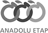 Anadolu Etap