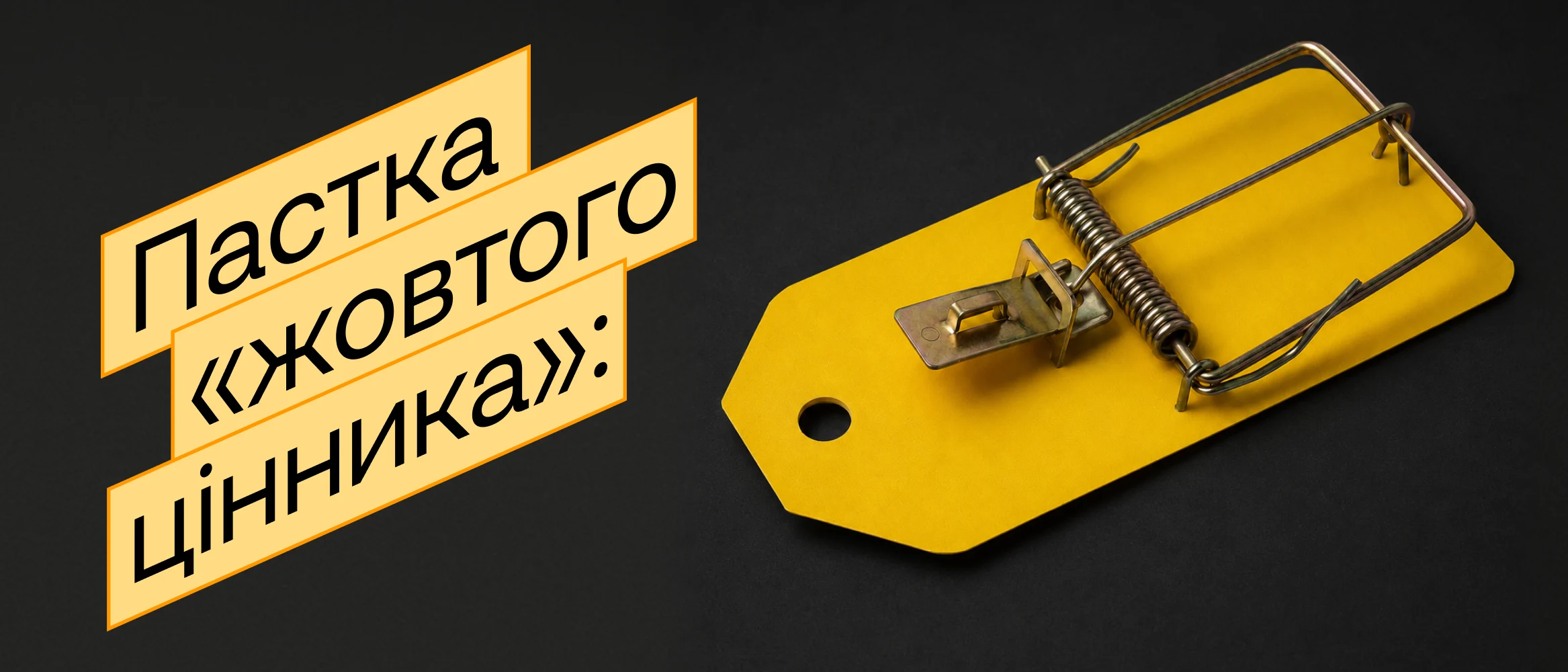 cover-12-6a3cf6c223fc5844772189.webp