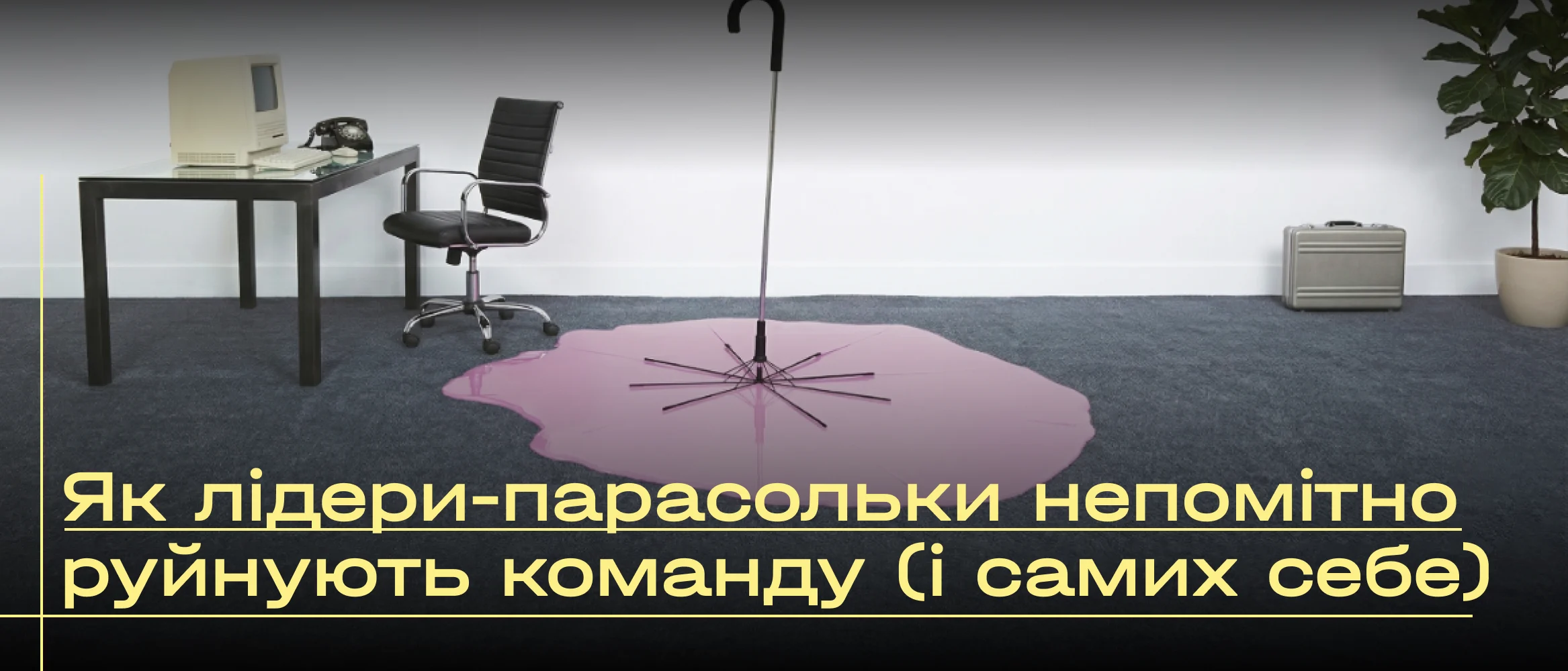 cover-3-69c28101e6742615519363.webp
