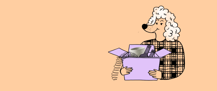 cover-636d249c6af02184776327.png