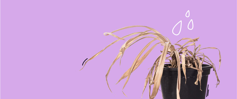 cover-657c4f738d096329572800.jpg